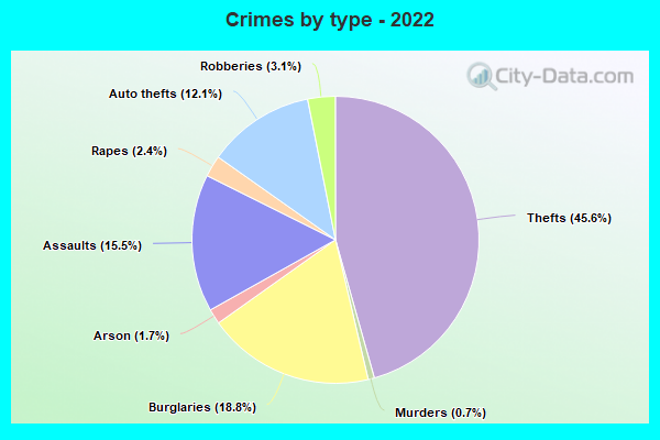 Crimes by type - 2022