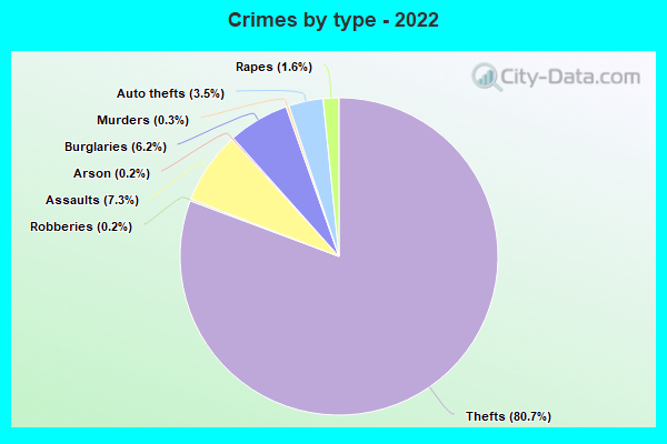 Crimes by type - 2022