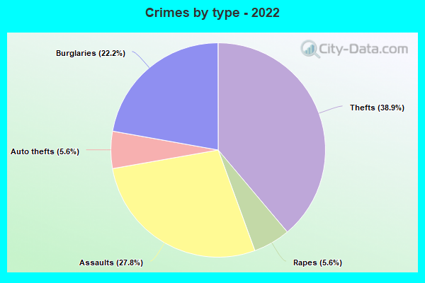 Crimes by type - 2022