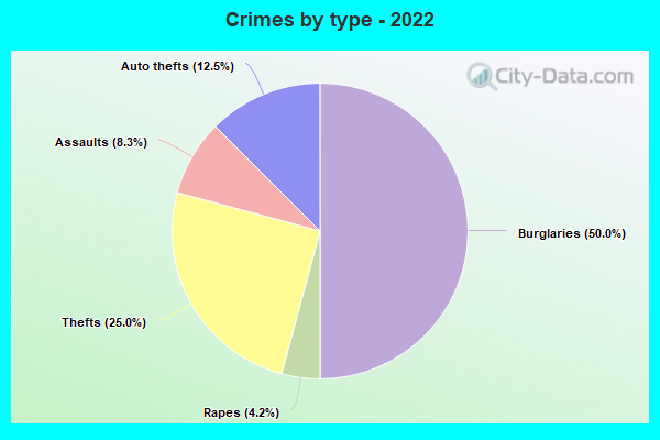 Crimes by type - 2022