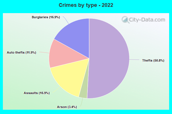 Crimes by type - 2022