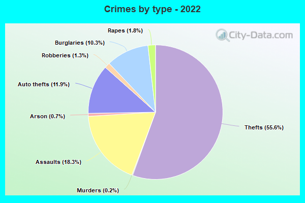 Crimes by type - 2022