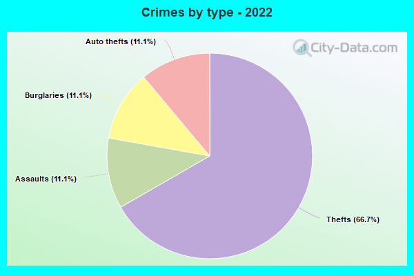 Crimes by type - 2022