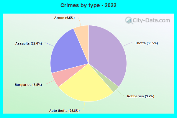 Crimes by type - 2022