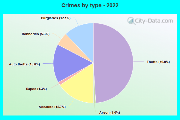 Crimes by type - 2022