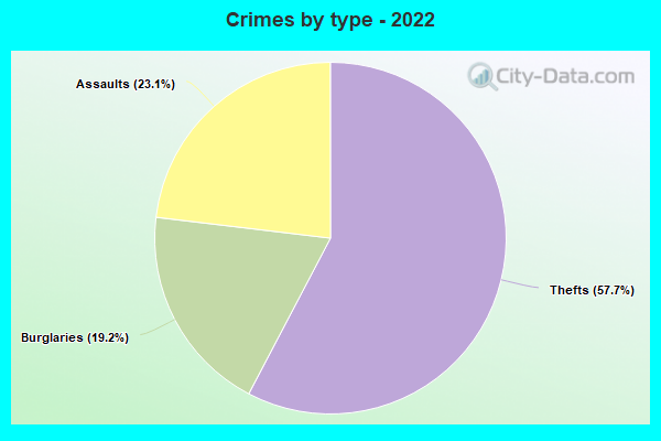 Crimes by type - 2022