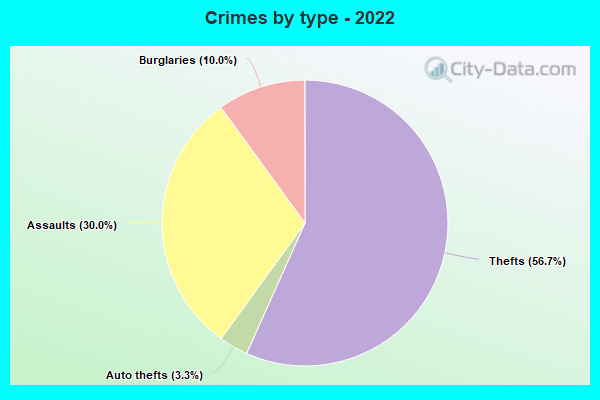 Crimes by type - 2022