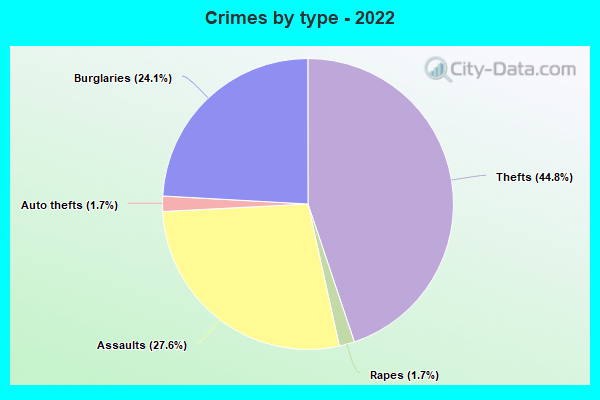 Crimes by type - 2022