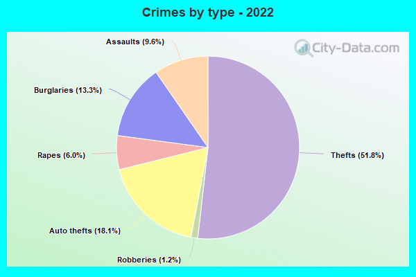 Crimes by type - 2022