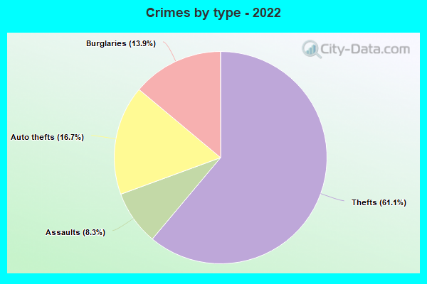 Crimes by type - 2022