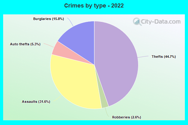 Crimes by type - 2022