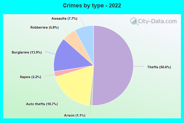 Crimes by type - 2022