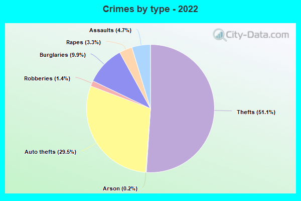 Crimes by type - 2022