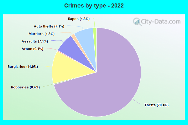 Crimes by type - 2022