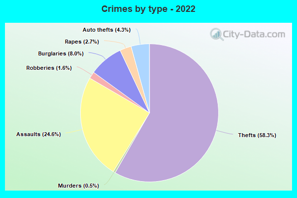 Crimes by type - 2022