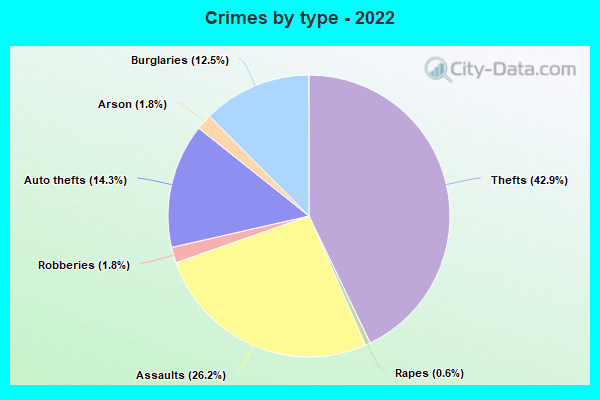 Crimes by type - 2022