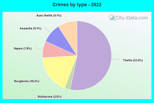 Crimes by type - 2022