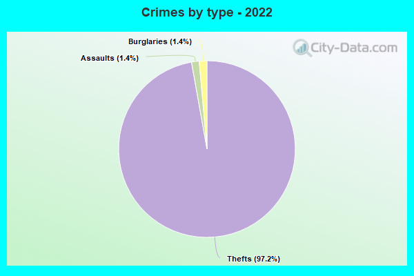 Crimes by type - 2022