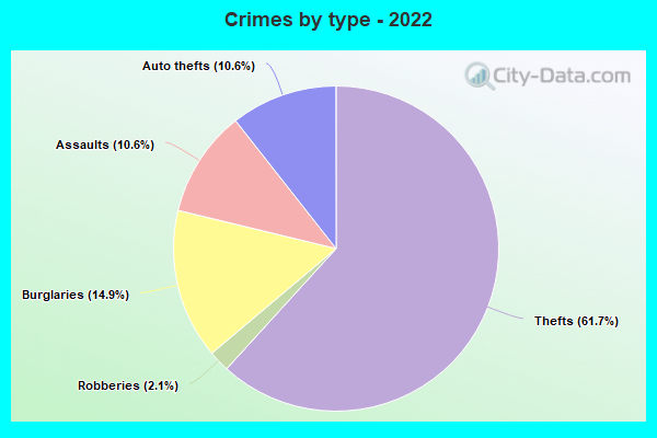 Crimes by type - 2022