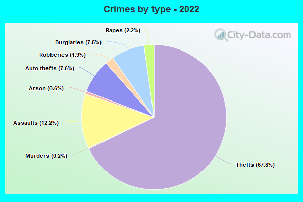 Crimes by type - 2022