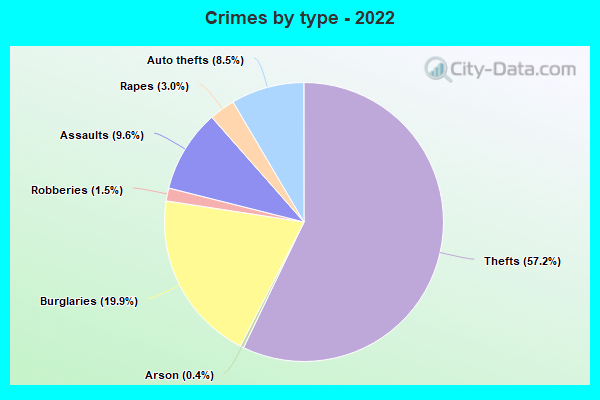 Crimes by type - 2022