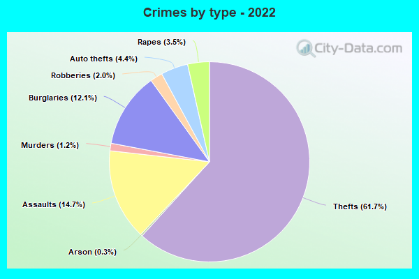 Crimes by type - 2022