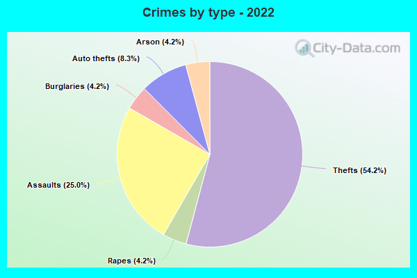 Crimes by type - 2022