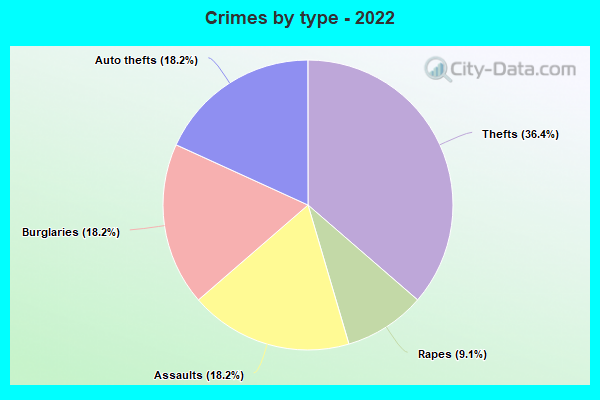 Crimes by type - 2022