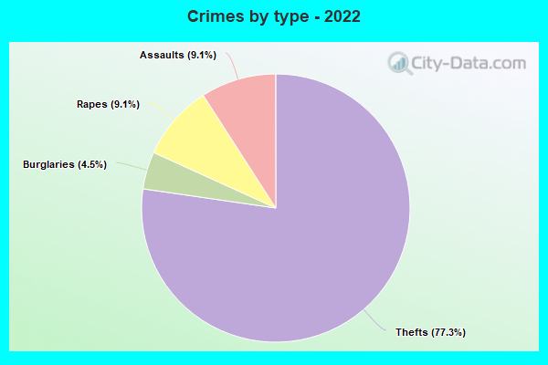 Crimes by type - 2022