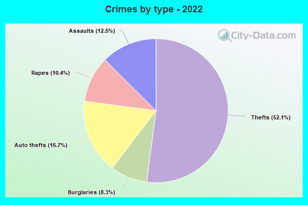 Crimes by type - 2022