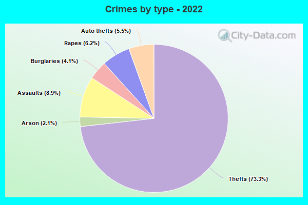 Crimes by type - 2022