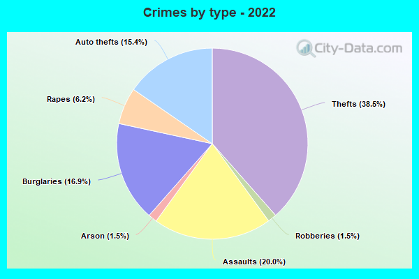 Crimes by type - 2022