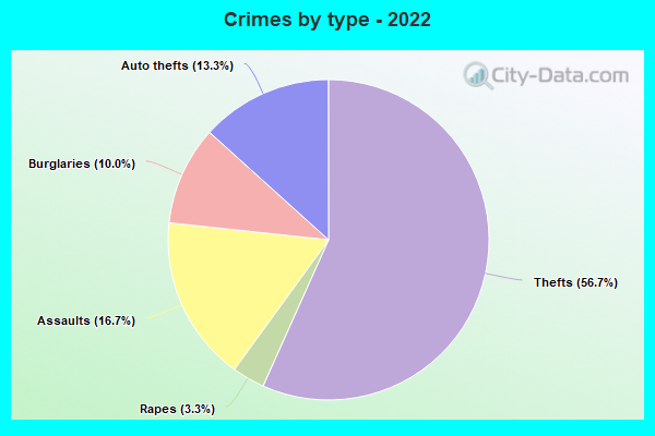 Crimes by type - 2022