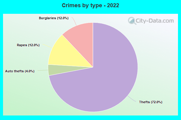 Crimes by type - 2022