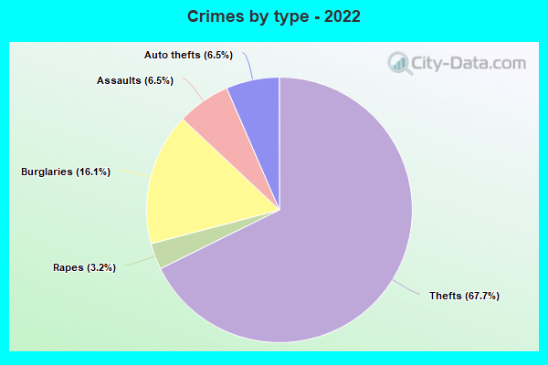 Crimes by type - 2022