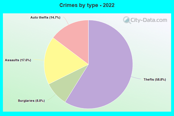 Crimes by type - 2022