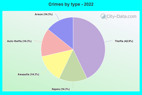 Crimes by type - 2022