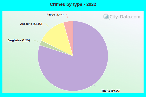 Crimes by type - 2022