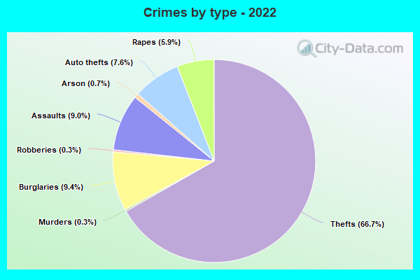 Crimes by type - 2022