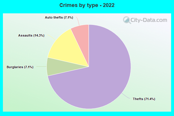 Crimes by type - 2022