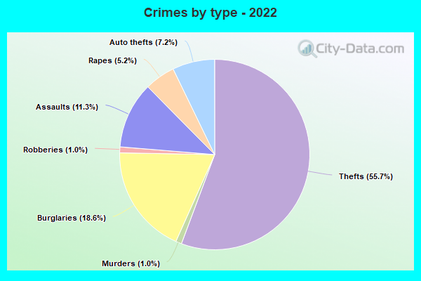Crimes by type - 2022