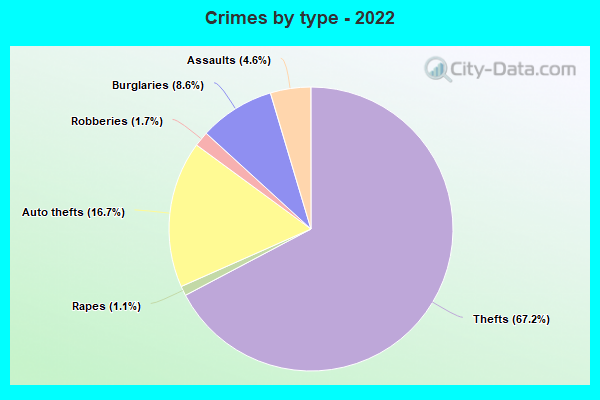 Crimes by type - 2022