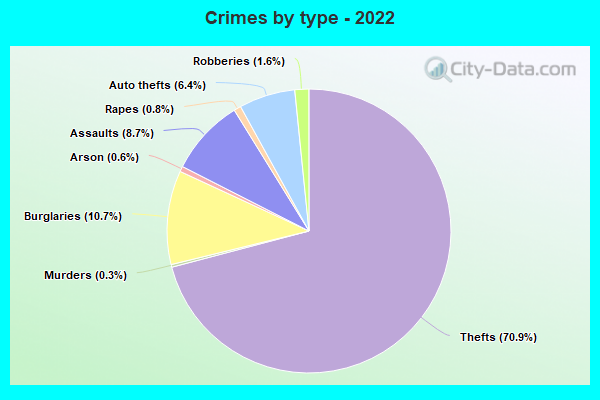 Crimes by type - 2022