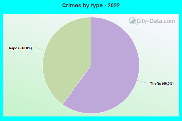 Crimes by type - 2022