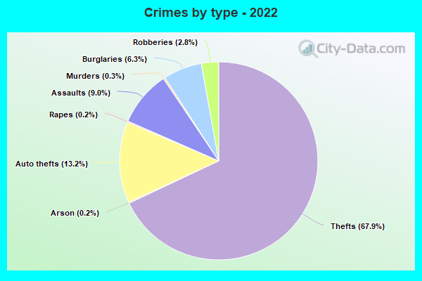 Crimes by type - 2022