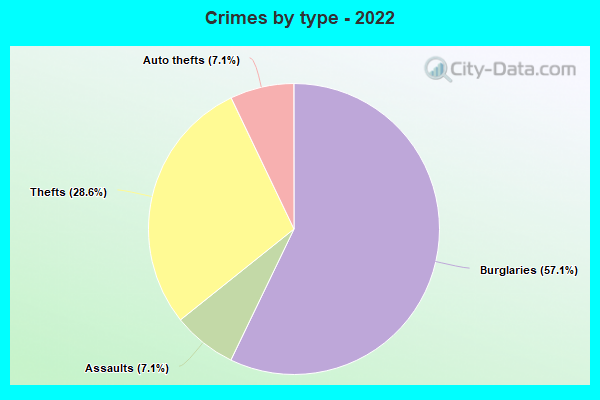 Crimes by type - 2022