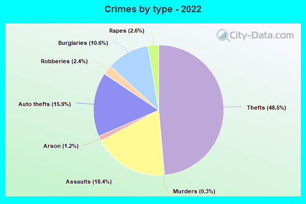 Crimes by type - 2022