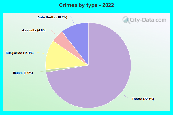 Crimes by type - 2022