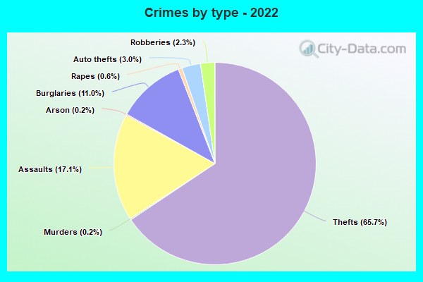 Crimes by type - 2022