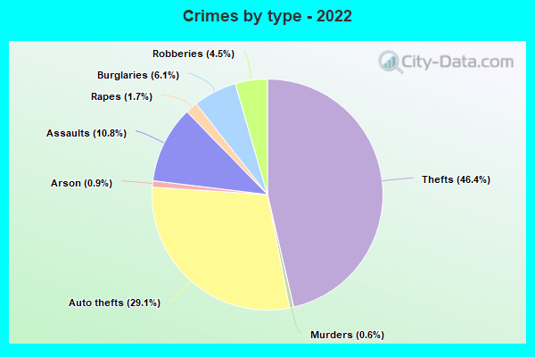 Crimes by type - 2022